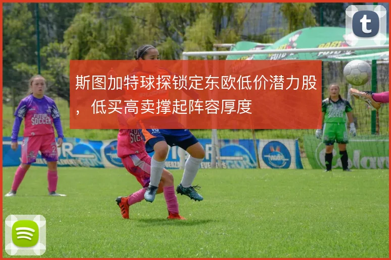 斯图加特球探锁定东欧低价潜力股，低买高卖撑起阵容厚度